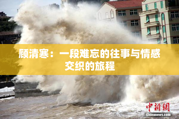 顾清寒：一段难忘的往事与情感交织的旅程