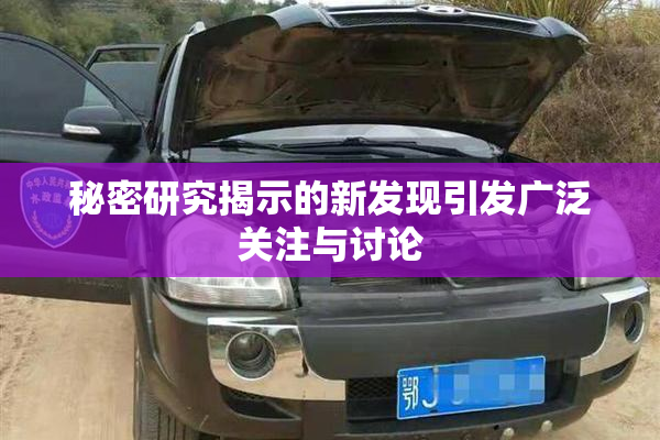 秘密研究揭示的新发现引发广泛关注与讨论