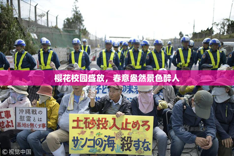 樱花校园盛放，春意盎然景色醉人