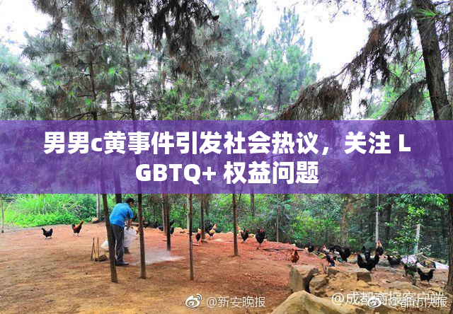 男男c黄事件引发社会热议，关注 LGBTQ+ 权益问题