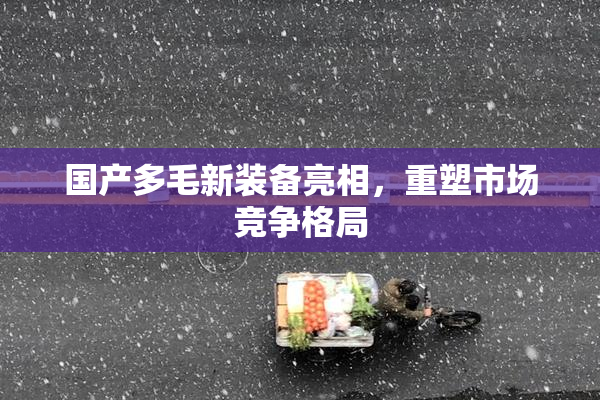 国产多毛新装备亮相，重塑市场竞争格局