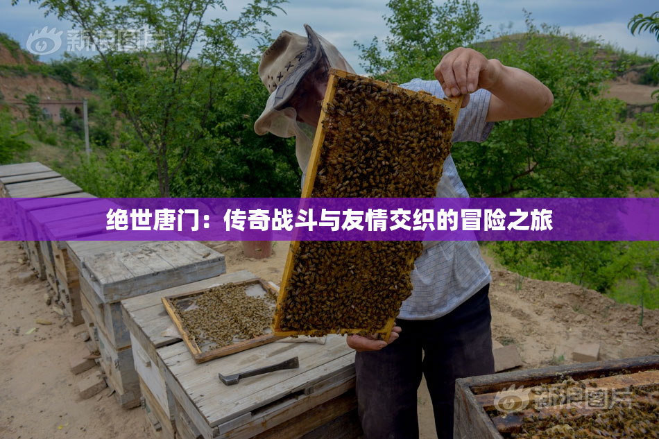 绝世唐门：传奇战斗与友情交织的冒险之旅