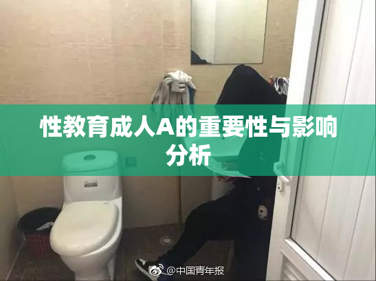性教育成人A的重要性与影响分析