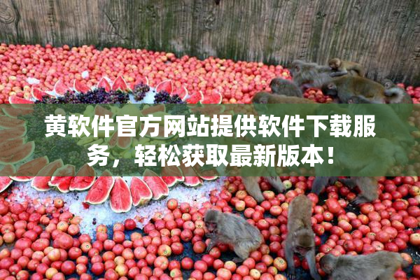 黄软件官方网站提供软件下载服务，轻松获取最新版本！