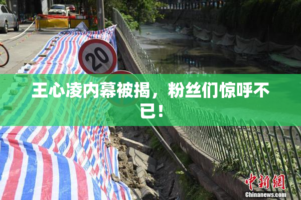 王心凌内幕被揭，粉丝们惊呼不已！