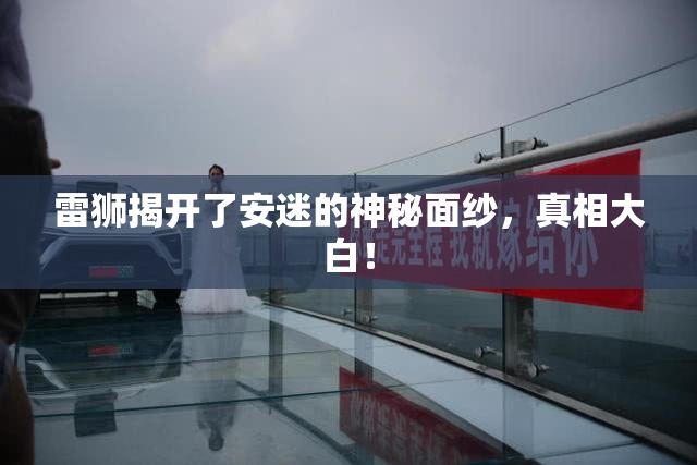 雷狮揭开了安迷的神秘面纱，真相大白！