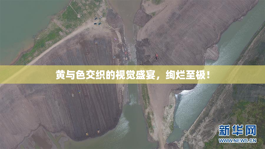 黄与色交织的视觉盛宴，绚烂至极！