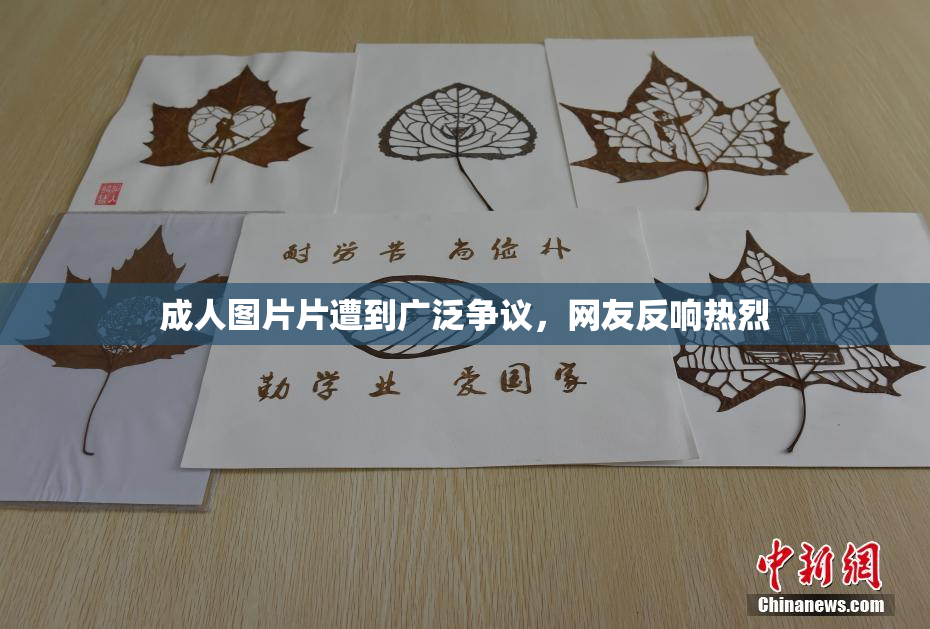 成人图片片遭到广泛争议，网友反响热烈