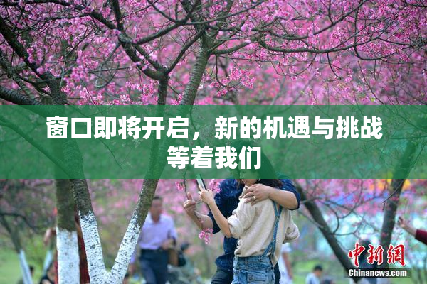 窗口即将开启，新的机遇与挑战等着我们