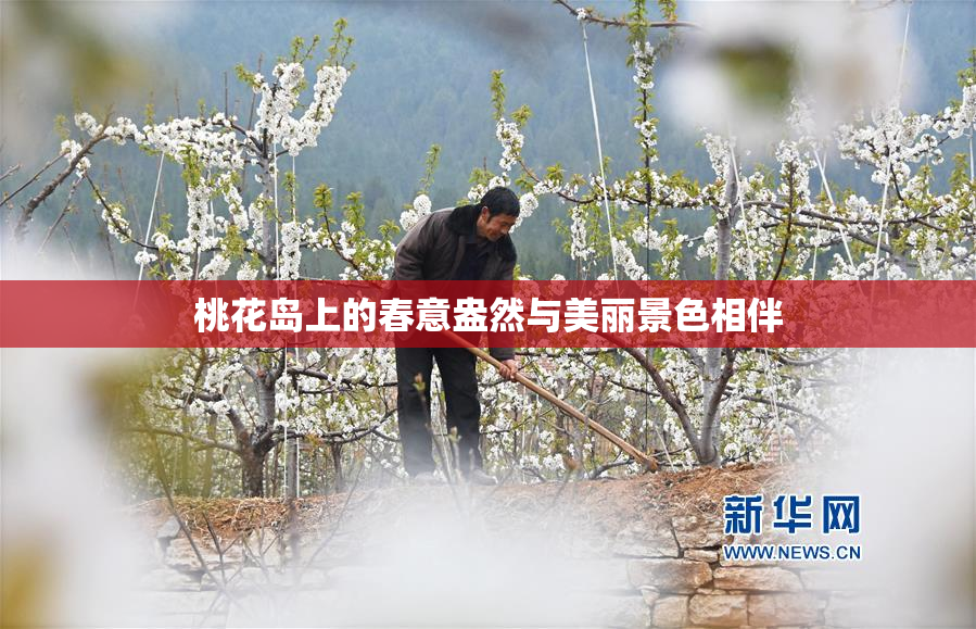桃花岛上的春意盎然与美丽景色相伴