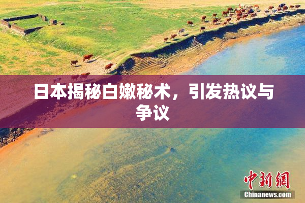 日本揭秘白嫩秘术，引发热议与争议