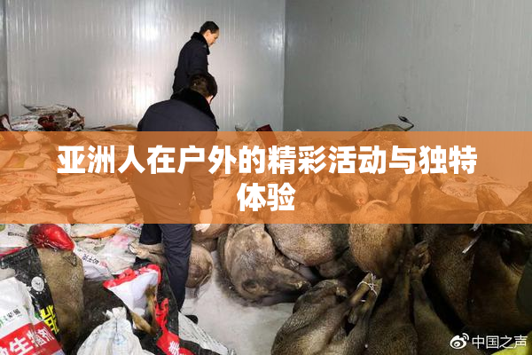 亚洲人在户外的精彩活动与独特体验