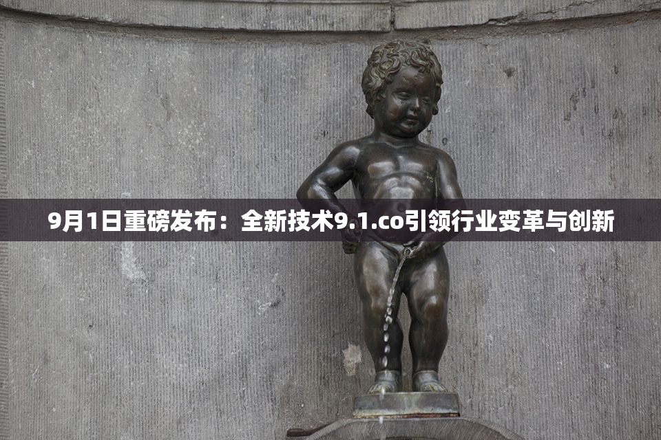9月1日重磅发布：全新技术9.1.co引领行业变革与创新