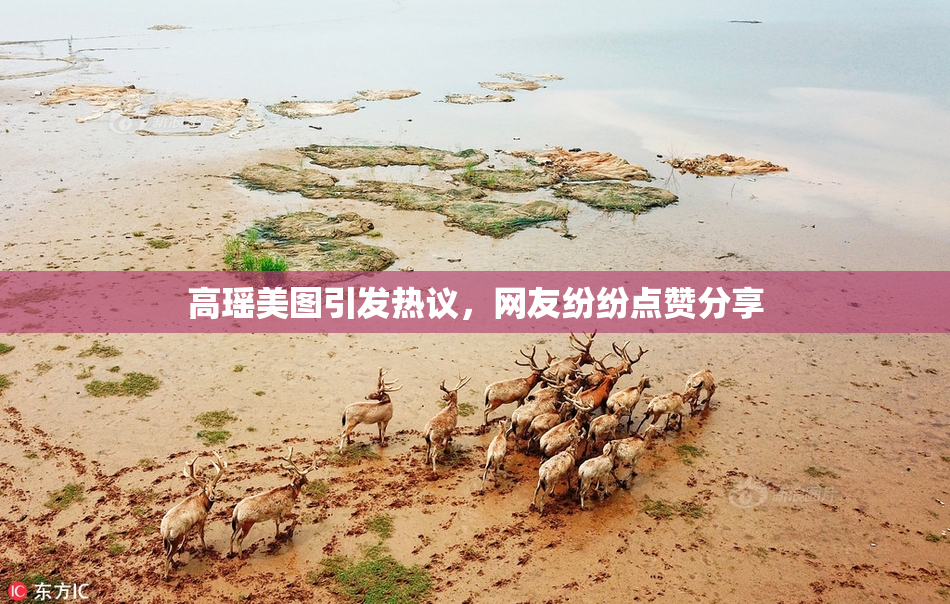 高瑶美图引发热议，网友纷纷点赞分享