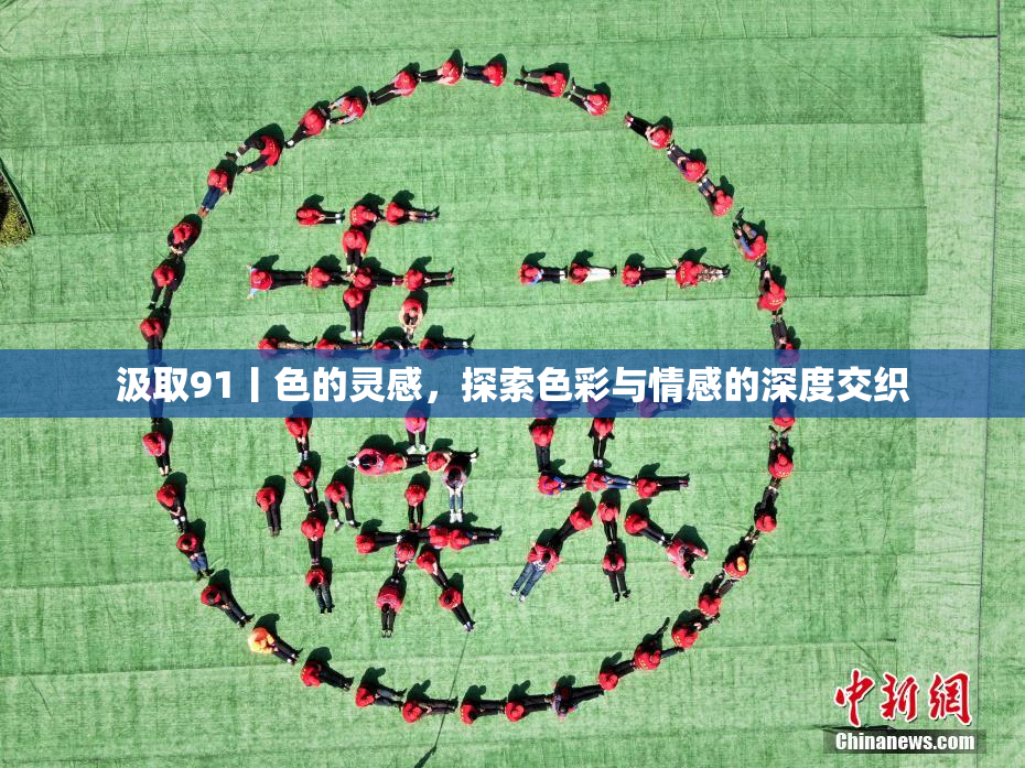 汲取91丨色的灵感，探索色彩与情感的深度交织