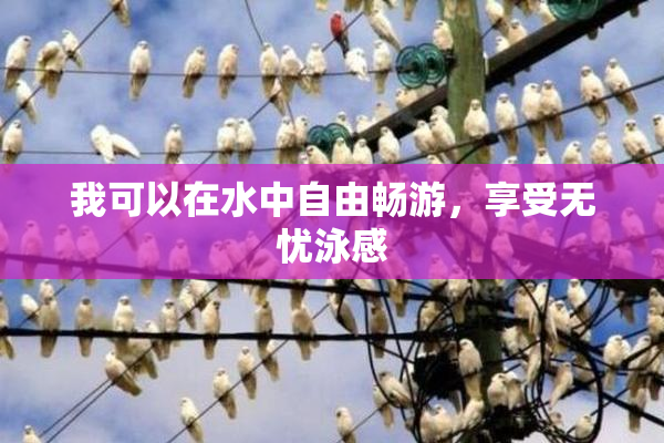 我可以在水中自由畅游，享受无忧泳感