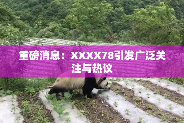 重磅消息：XXXX78引发广泛关注与热议