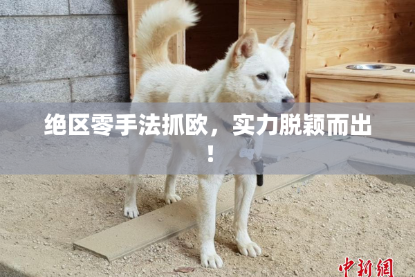 绝区零手法抓欧，实力脱颖而出！