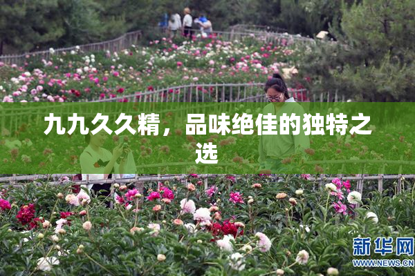 九九久久精，品味绝佳的独特之选