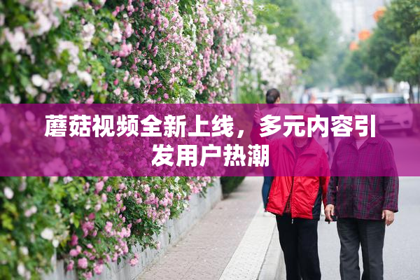 蘑菇视频全新上线，多元内容引发用户热潮