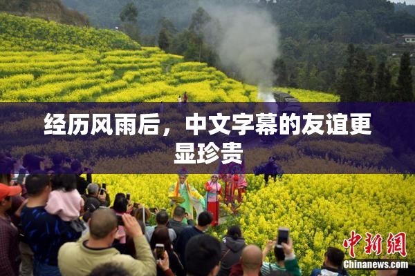 经历风雨后，中文字幕的友谊更显珍贵