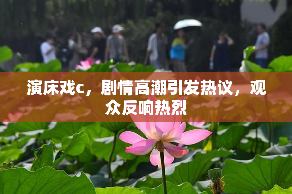 演床戏c，剧情高潮引发热议，观众反响热烈