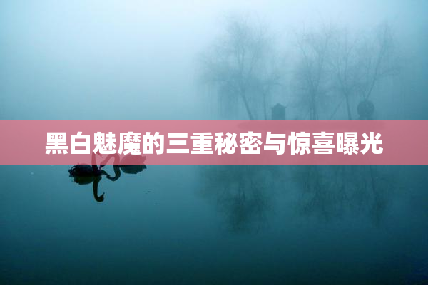 黑白魅魔的三重秘密与惊喜曝光