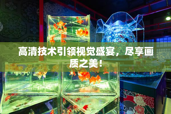 高清技术引领视觉盛宴，尽享画质之美！