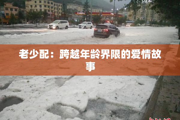 老少配：跨越年龄界限的爱情故事