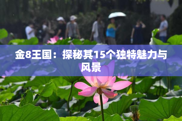 金8王国：探秘其15个独特魅力与风景