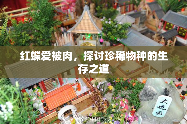 红蝶爱被肉，探讨珍稀物种的生存之道