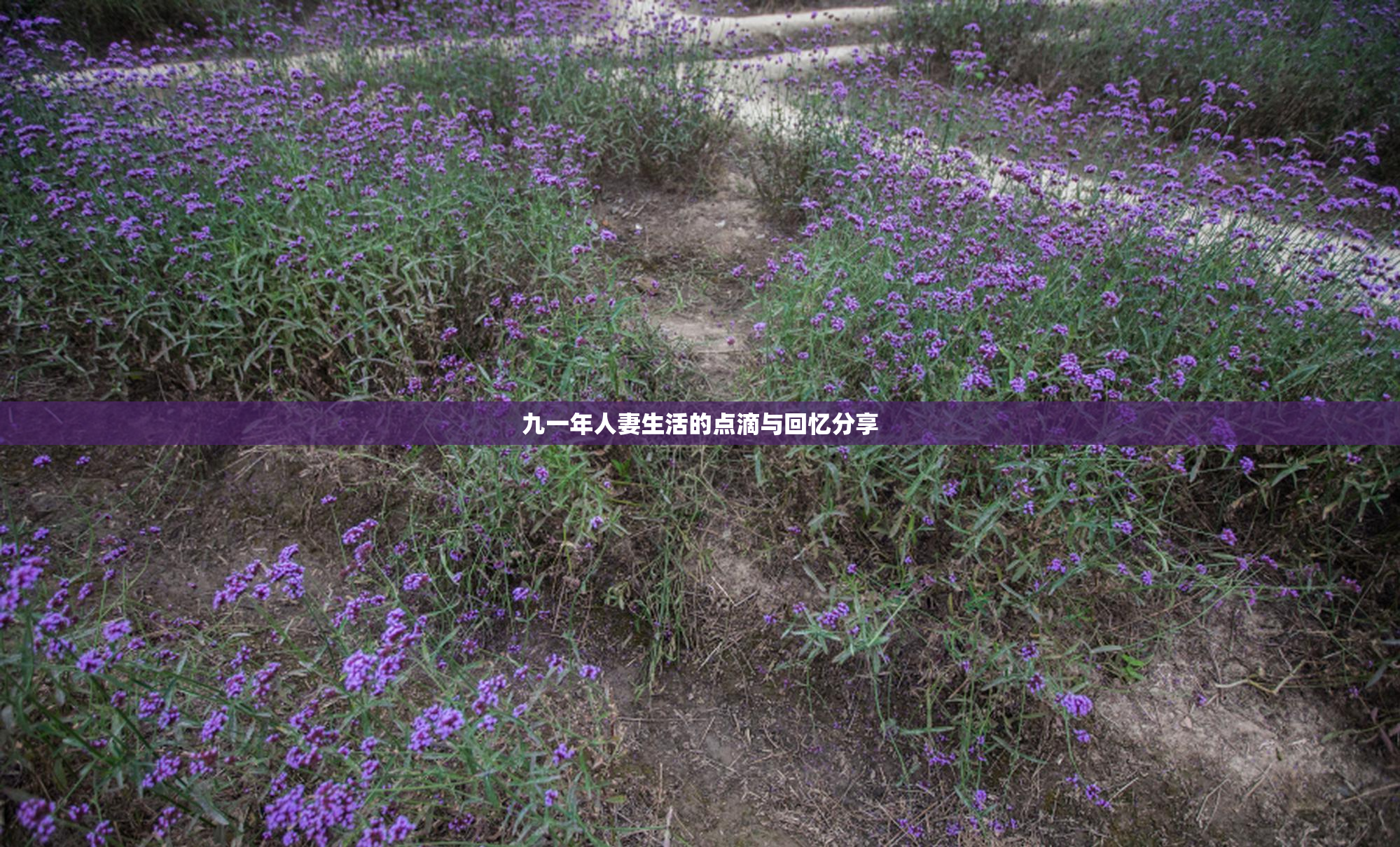 九一年人妻生活的点滴与回忆分享