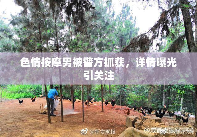 色情按摩男被警方抓获，详情曝光引关注