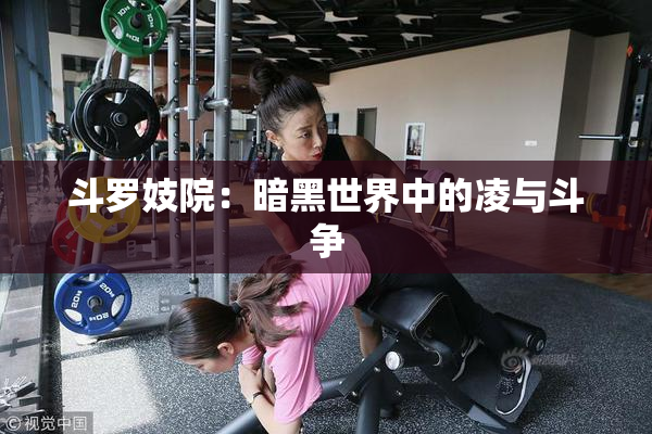 斗罗妓院：暗黑世界中的凌与斗争