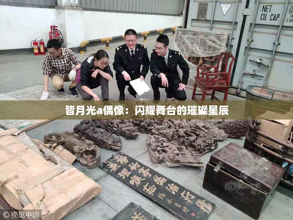 皆月光a偶像：闪耀舞台的璀璨星辰