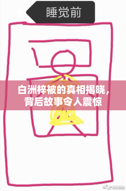 白洲梓被的真相揭晓，背后故事令人震惊