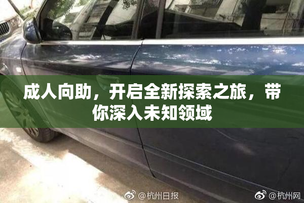 成人向助，开启全新探索之旅，带你深入未知领域