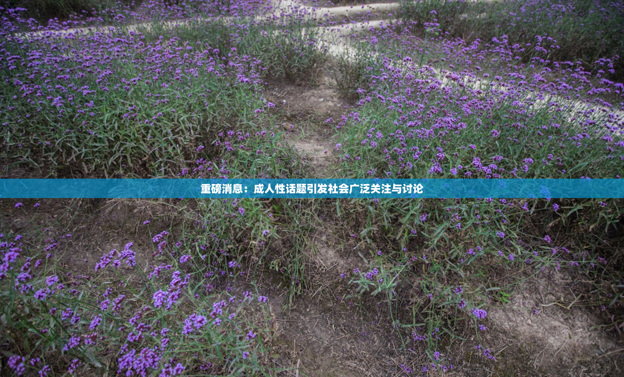 重磅消息：成人性话题引发社会广泛关注与讨论