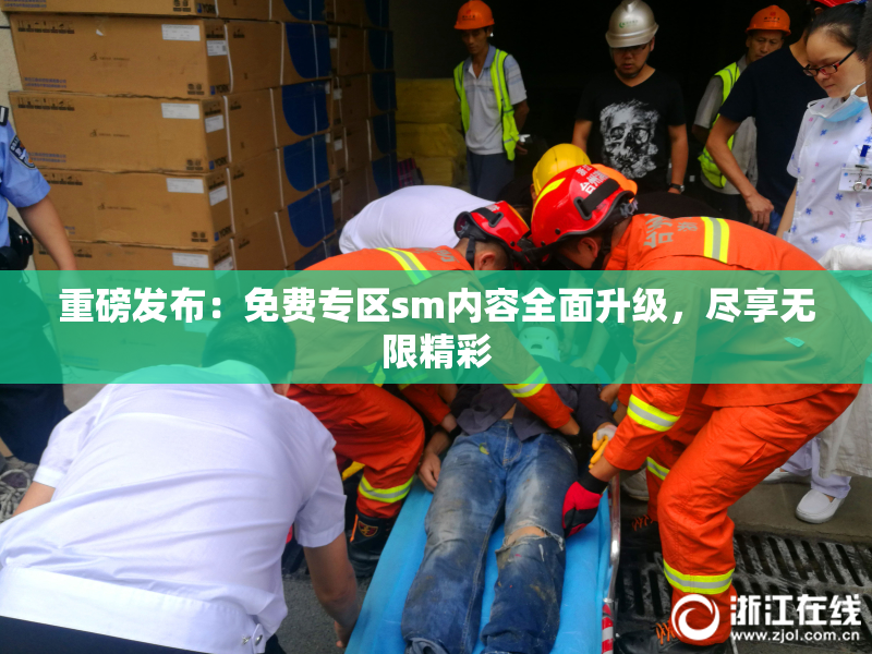 重磅发布：免费专区sm内容全面升级，尽享无限精彩