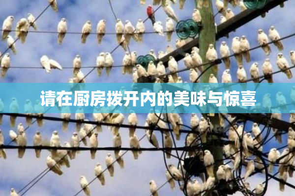 请在厨房拨开内的美味与惊喜