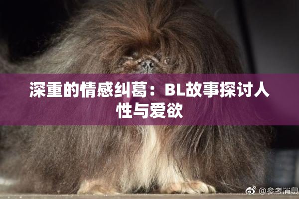 深重的情感纠葛：BL故事探讨人性与爱欲