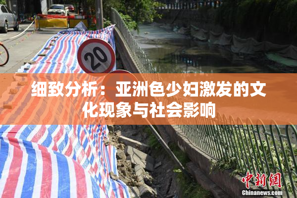 细致分析：亚洲色少妇激发的文化现象与社会影响