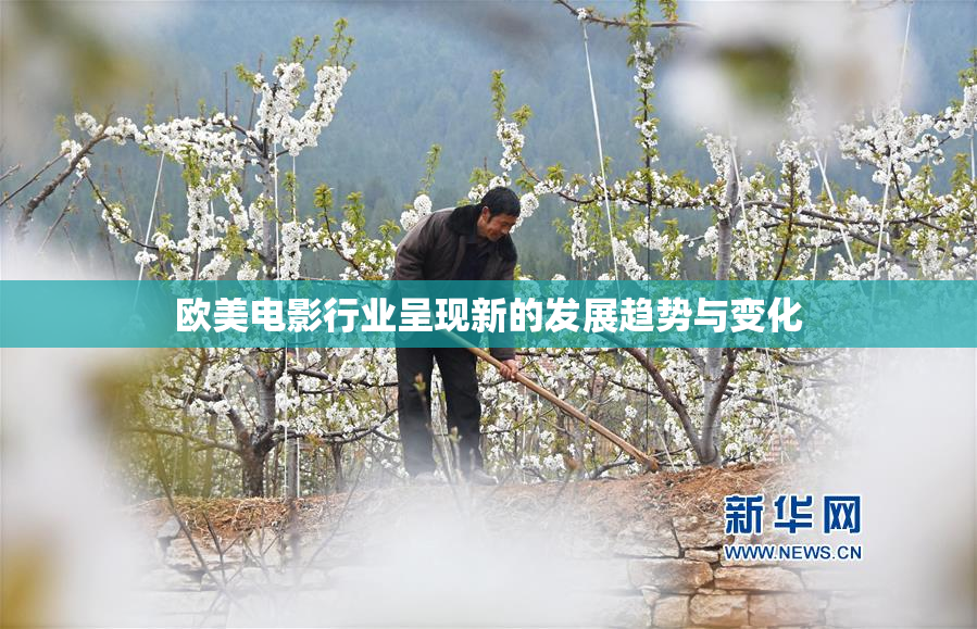 欧美电影行业呈现新的发展趋势与变化