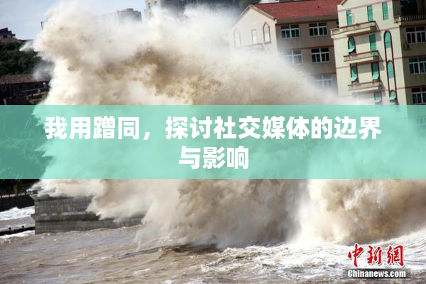 我用蹭同，探讨社交媒体的边界与影响