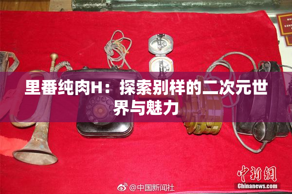 里番纯肉H：探索别样的二次元世界与魅力