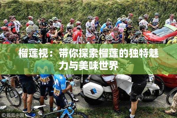榴莲视：带你探索榴莲的独特魅力与美味世界