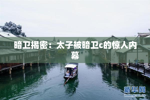 暗卫揭密：太子被暗卫c的惊人内幕