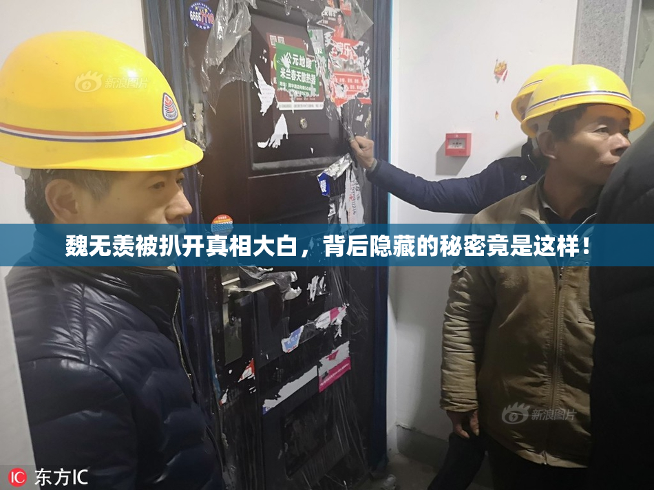 魏无羡被扒开真相大白，背后隐藏的秘密竟是这样！