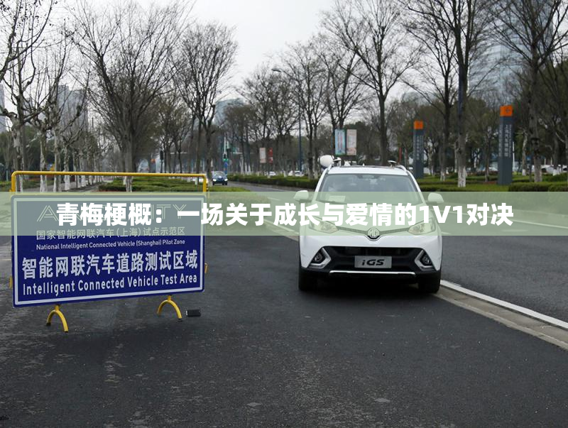 青梅梗概：一场关于成长与爱情的1V1对决