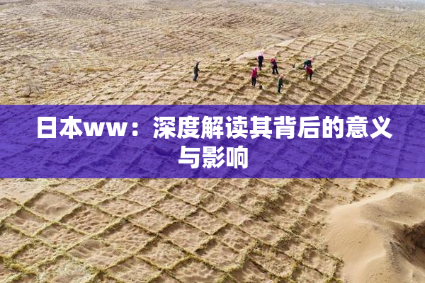 日本ww：深度解读其背后的意义与影响
